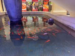 -燕郊烧鸽子(酷车小镇店)