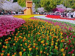 -苏州上方山国家森林公园