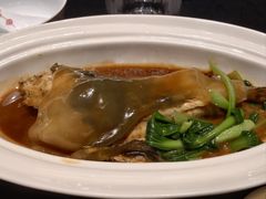 -新光酒家·河豚·海鲜·蟹料理(浦东店)