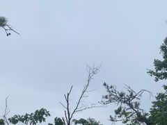 -沂蒙山旅游区云蒙景区(蒙山国家森林公园)