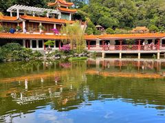 -深圳仙湖植物园