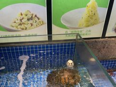 -壹只菜·崇明本地特色菜(崇明南门店)