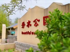 -秀水公园