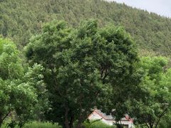 -云龙湖旅游景区