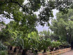 -绍兴鲁迅故里·沈园景区