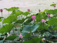 -承德避暑山庄景区