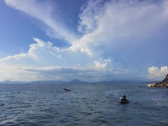 -小海豚•老字号海鲜餐厅(天涯店)