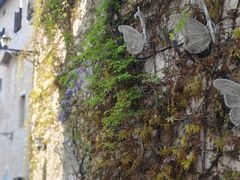 -华谊兄弟（长沙）电影小镇