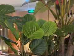 -船歌·鱼水饺青岛菜(恒隆广场店)