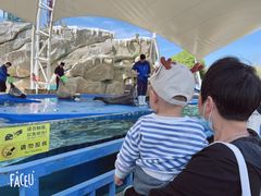 -芜湖新华联大白鲸海洋公园