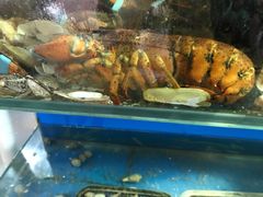 -海帮主·蒸汽海鲜青岛菜(栈桥火车站店)