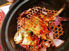 -姜君·千岛湖鱼头馆(浦东大道店)