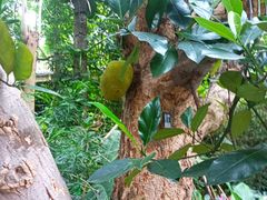 -华南国家植物园-售票处