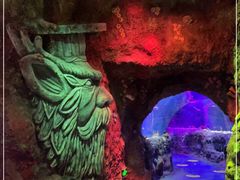 -沈阳海洋探索中心