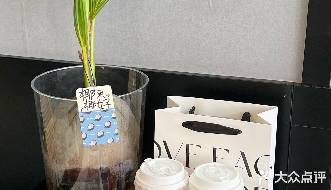 夏天当然要喝一杯BONJOUR的椰子水呀🥥