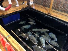 -蓝湾碧波·老字号·疍家非遗海上餐厅