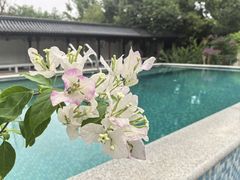 -龚家花园农家乐休闲别墅