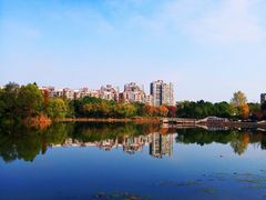 -新江湾城公园