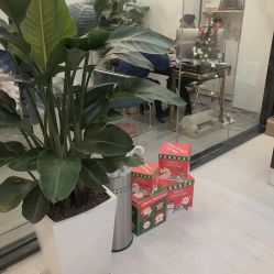 -DEM缔怡美科技美容