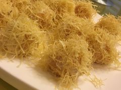 -丁老爷子苏香圆