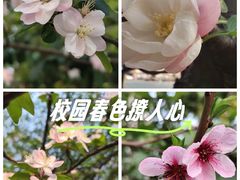 -武汉荟聚