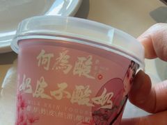 -大鸭梨烤鸭(顺义石园店)