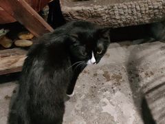 -么么咖啡(燕郊店)