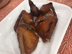 红烧乳鸽皇-新和联胜海鲜酒家(万寿路店)