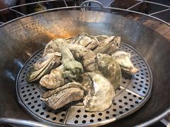桑拿生蚝-飞尝蚝·顺德菜·鱼生(顺德总店)