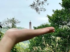 -大雁山风景区