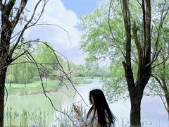 -苏州太湖国家湿地公园