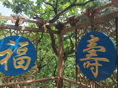 -青岩寺风景区