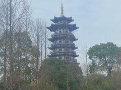 -洋湖国家湿地公园