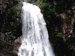 -龙湾潭国家森林公园