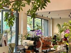 -花神·轻食简餐·咖啡馆·花卉绿植(荷兰花卉小镇店)