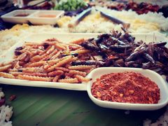 -金塔傣乡·云南民族特色菜·傣味手抓饭(金瓦路店)