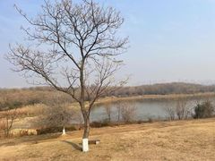 -盘龙城国家考古遗址公园