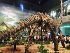 -自贡恐龙博物馆