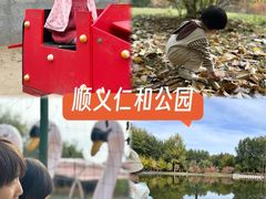 -仁和公园(顺义区)