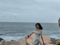 -广东惠东海龟国家级自然保护区