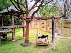 -上海野生动物园