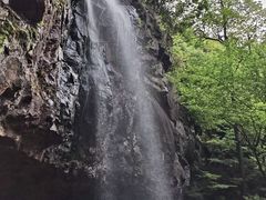 -四明山国家森林公园