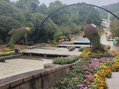 -南山植物园