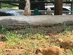-秦皇岛野生动物园