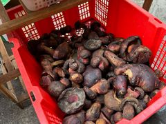 -草墩罗非鱼庄•野生菌•腊排骨(七星街上段店)