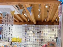 -猫的天空之城概念书店(丽江古城饮玉巷店)