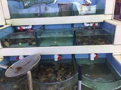 水产区-海市蜃楼花园主题餐厅(石顶店)