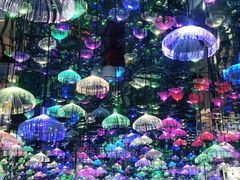 -梵高星空艺术馆(北京旗舰店)