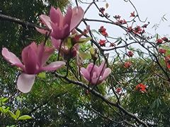 -晓港公园