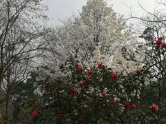 -南山植物园